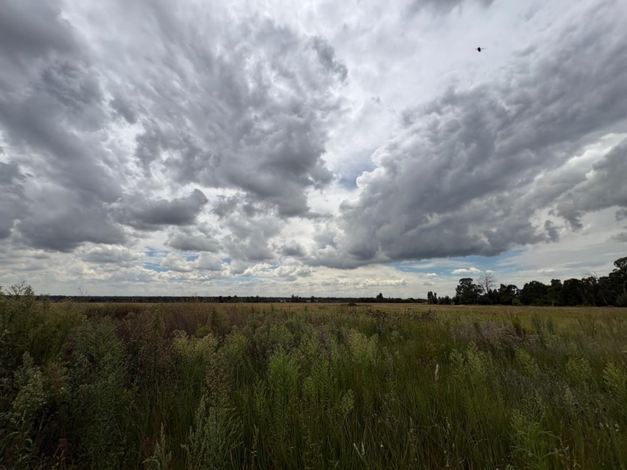 0 Bedroom Property for Sale in Vaalpark Free State